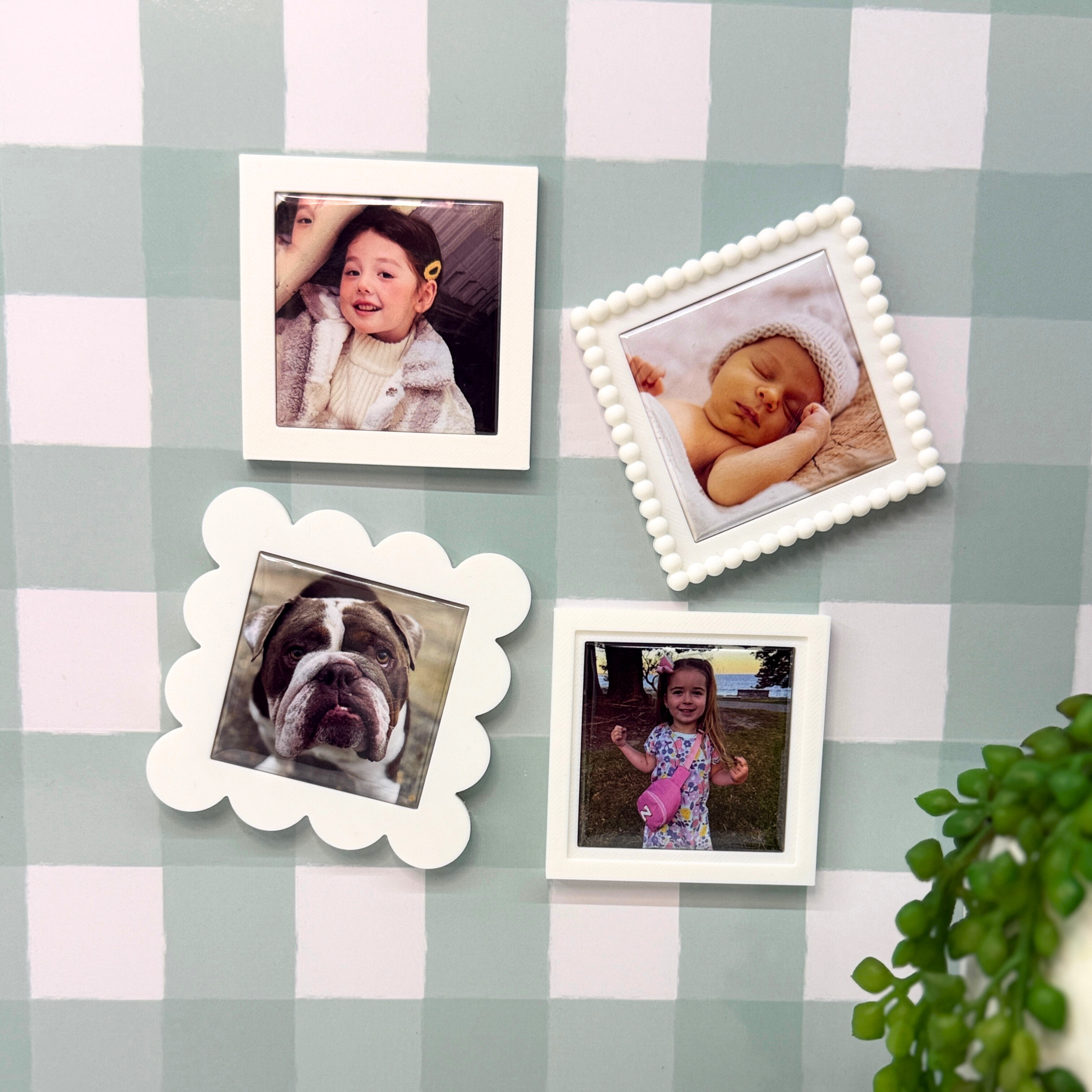 Four framed photos on a checkered wall with a plant in the corner.