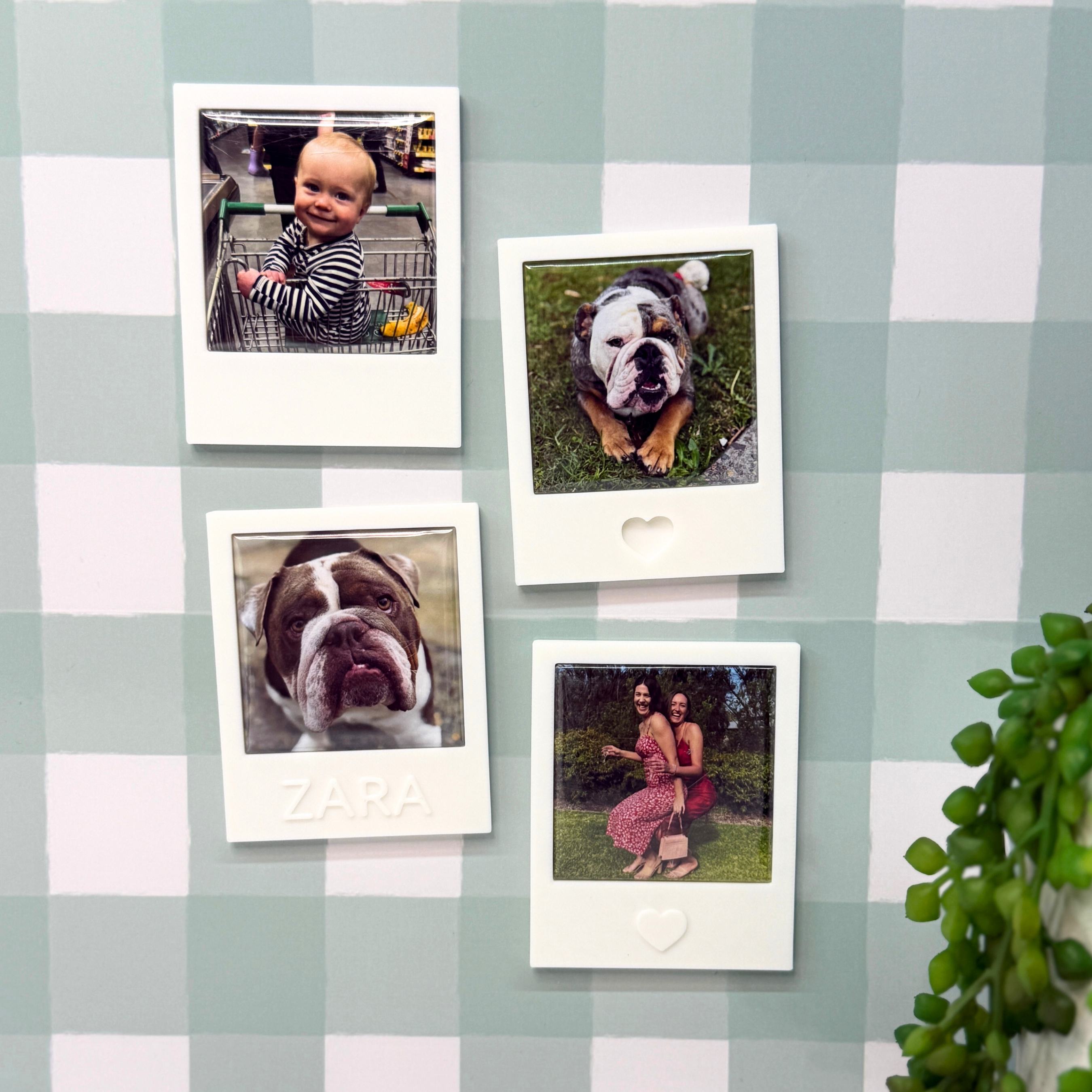 Four instant photos of a baby and dogs on a checkered wall with a plant in the corner.