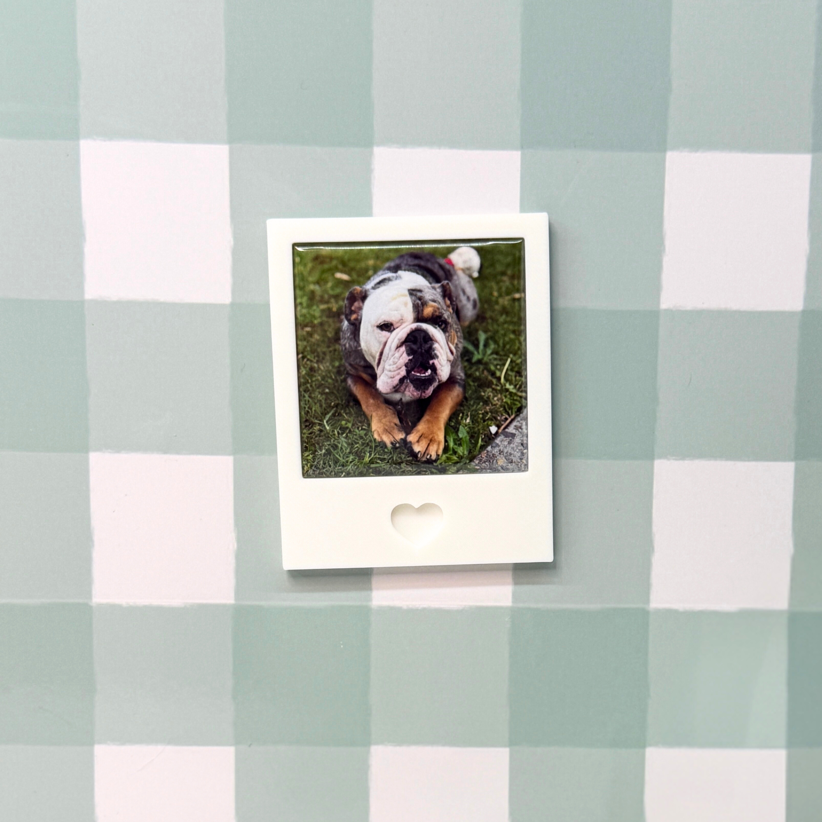 Polaroid-style photo of a dog on a green and white checkered background