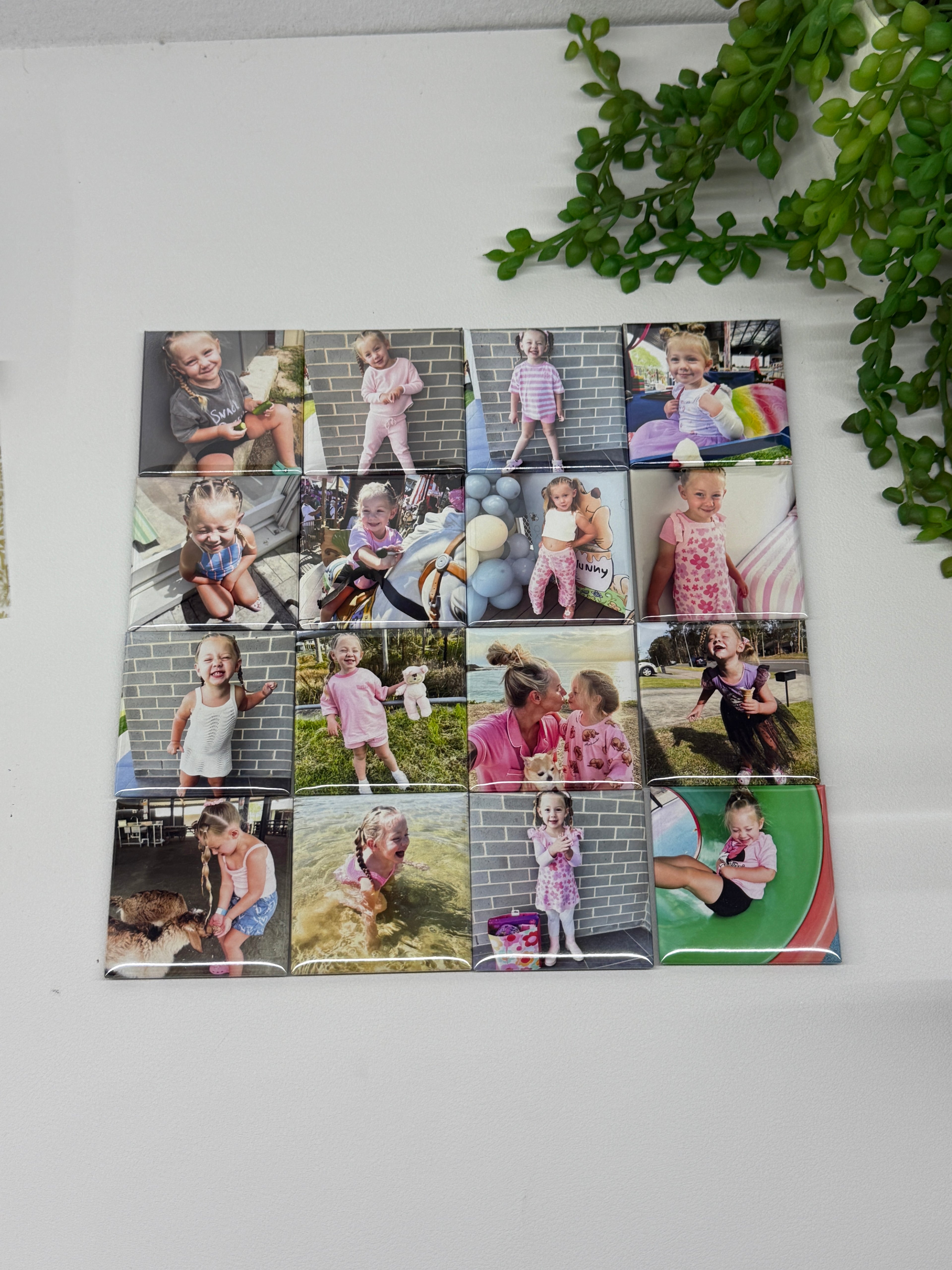 Collage of family photo magnets on a white wall with greenery.