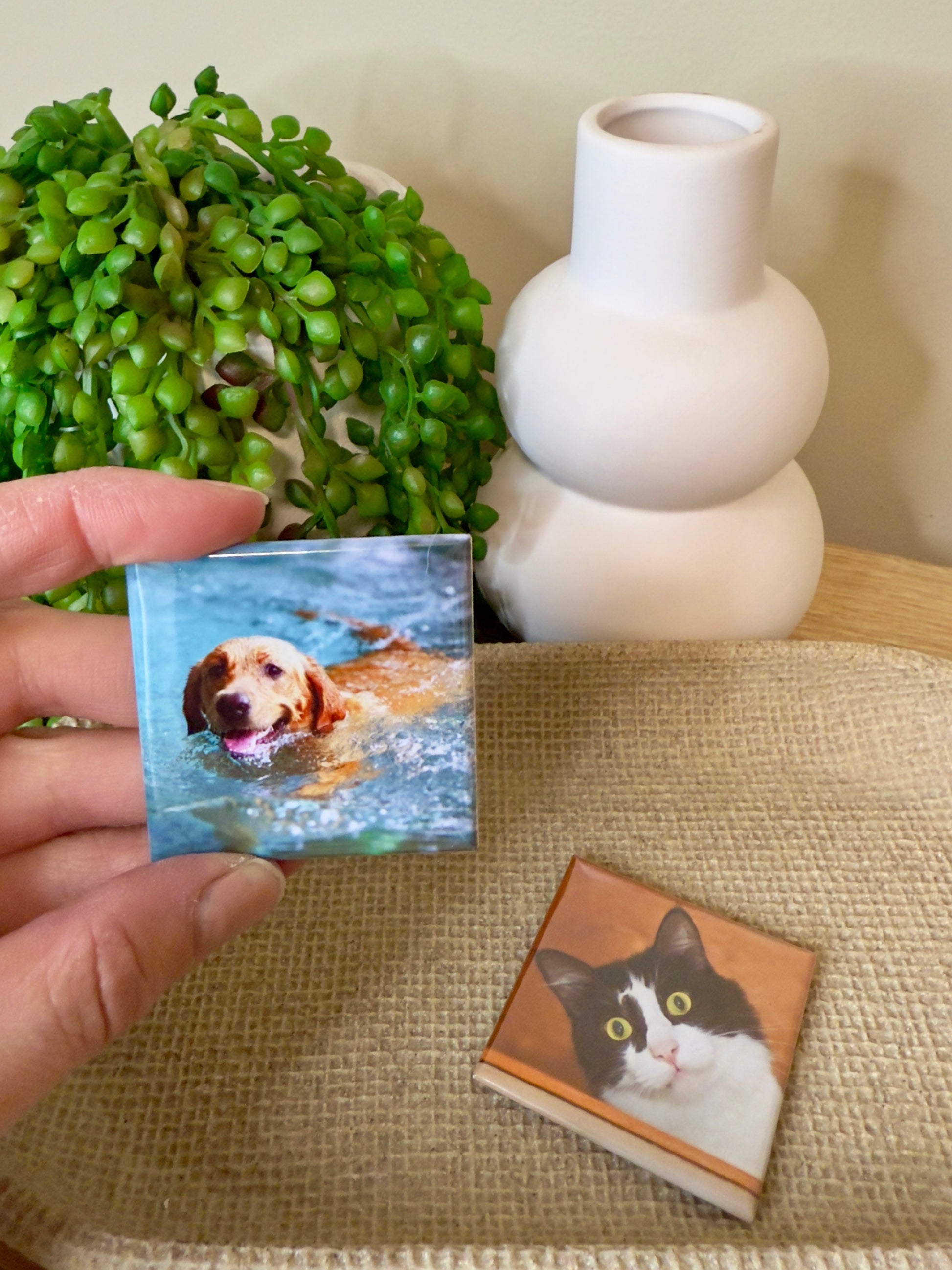Hand holding a square photo of a dog, with another photo of a cat on a surface, next to a white vase and green plant.