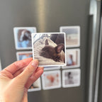 Hand holding a photo of a dog in front of a refrigerator with other photos attached as magnets.
