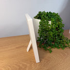 A green trailing succulent plant in a white square pot, displayed on a white shelf against a light wood-grained wall.