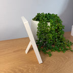 A small potted green trailing succulent plant in a white rectangular planter, photographed on a light wood tabletop against a pale wall.