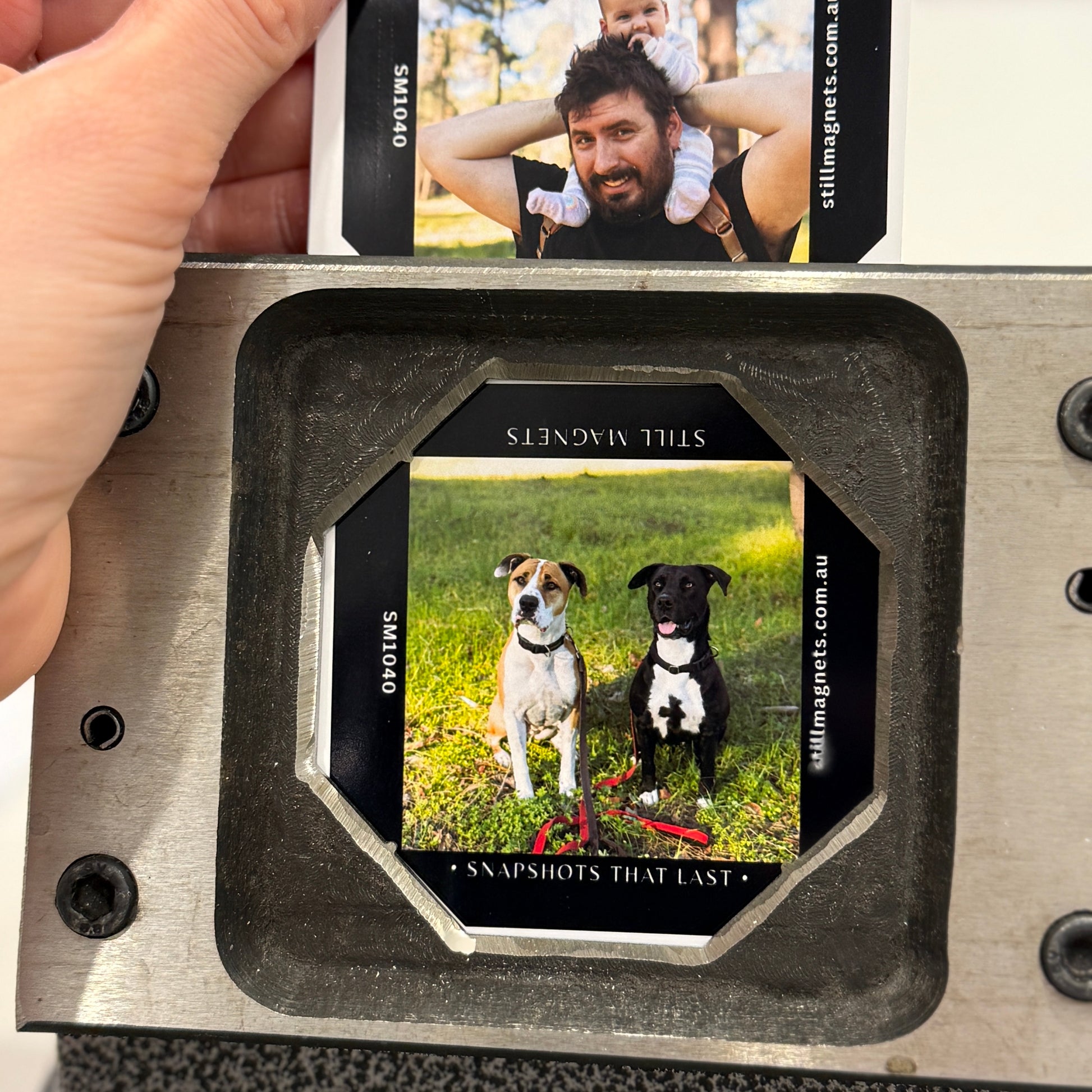 dog photo magnet baby dad