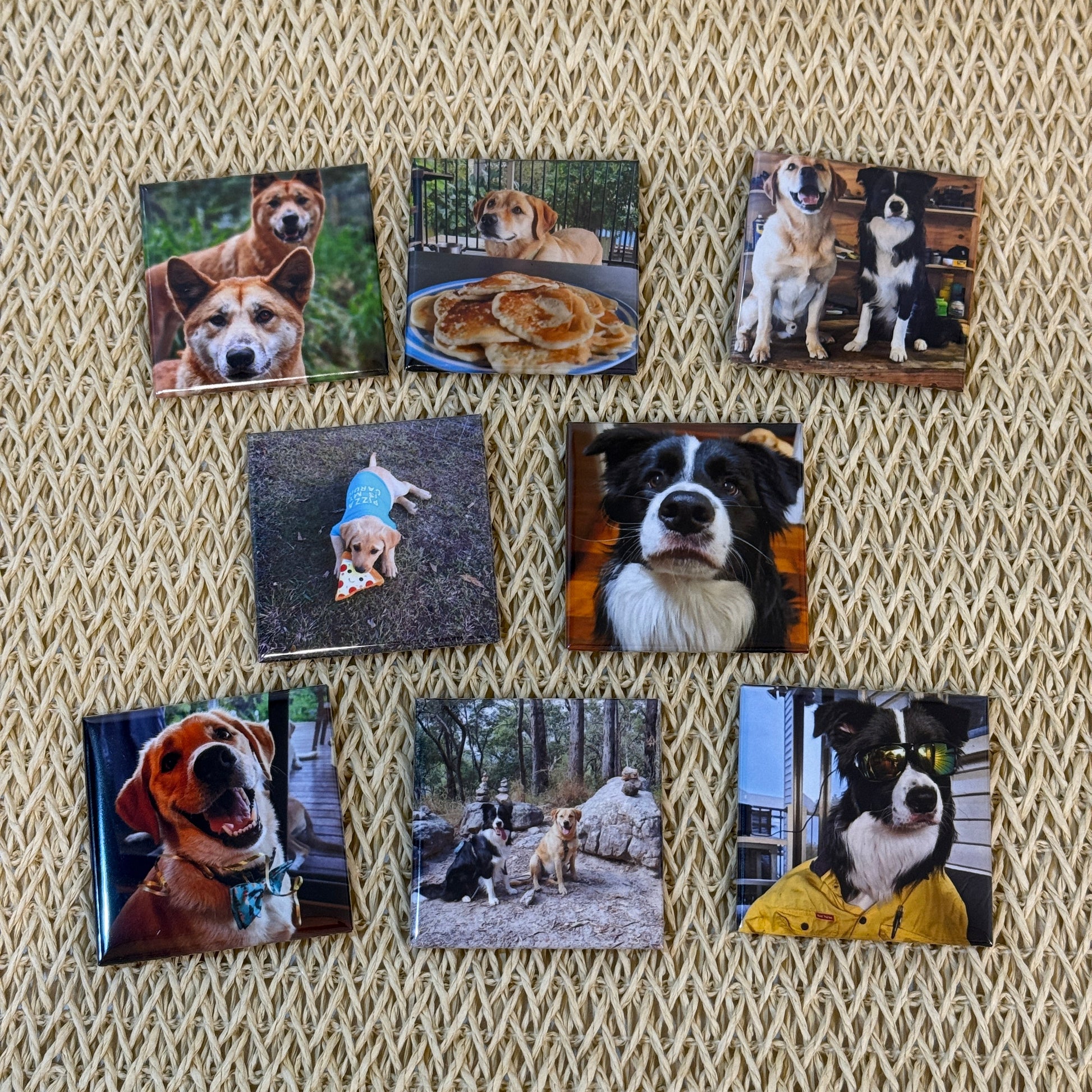 custom pet dog magnets 
