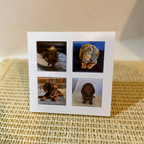 Flat lay of 4 custom photo magnets with white frame – personalised Father’s Day keepsake gift. Featuring Sausage dogs Dashaund