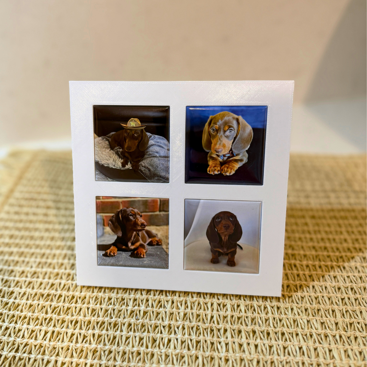 Flat lay of 4 custom photo magnets with white frame – personalised Father’s Day keepsake gift. Featuring Sausage dogs Dashaund